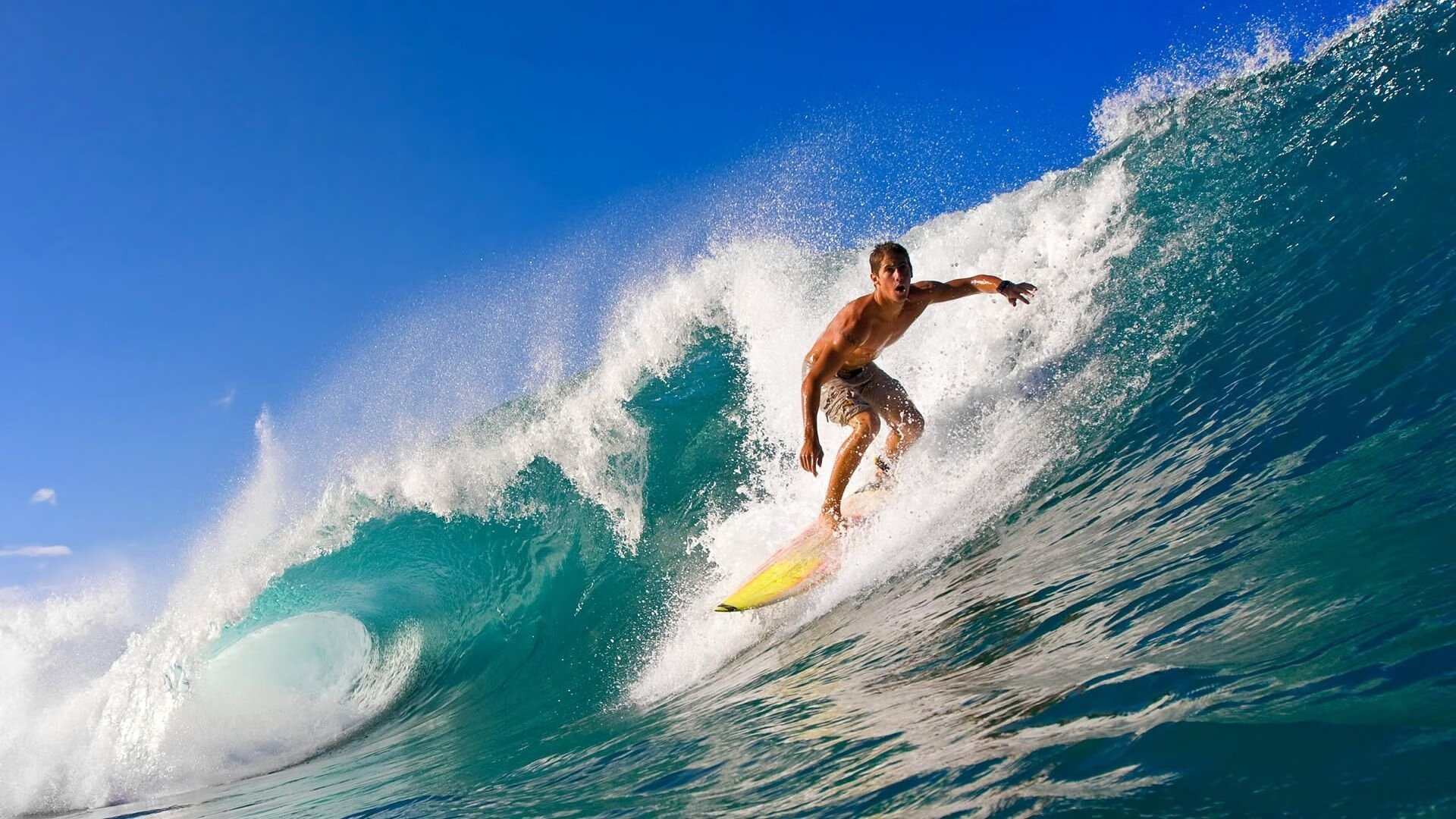 “谁将封神?四川省体育馆拳击决赛充满悬念!”